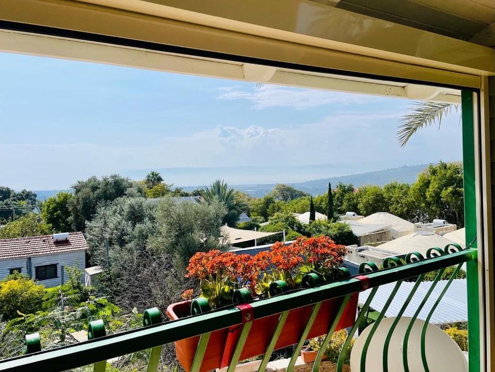 Out Of Africa Resort ฮัดเนส ภายนอก รูปภาพ